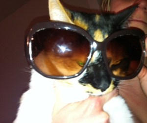 "The Cat" in our life. She lets us live with her in her apartment.